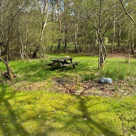 2 Bedroom Beautiful In * Oster Assels